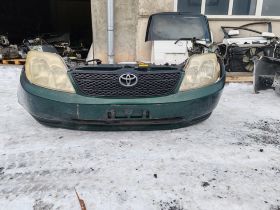 ноускат (nose cut)